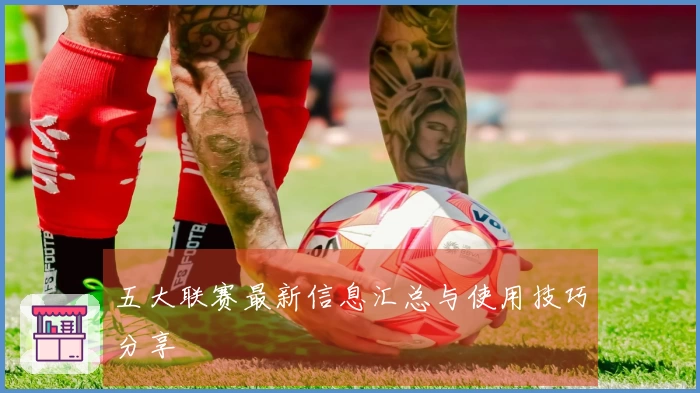 五大联赛最新信息汇总与使用技巧分享